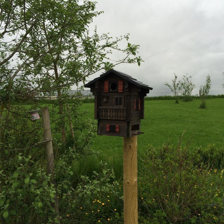 B&B La Ferme Du Doux Libramont-Chevigny Dış mekan fotoğraf